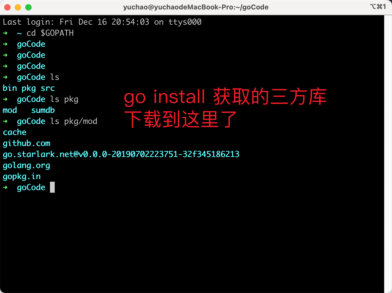 image-20221216205721026