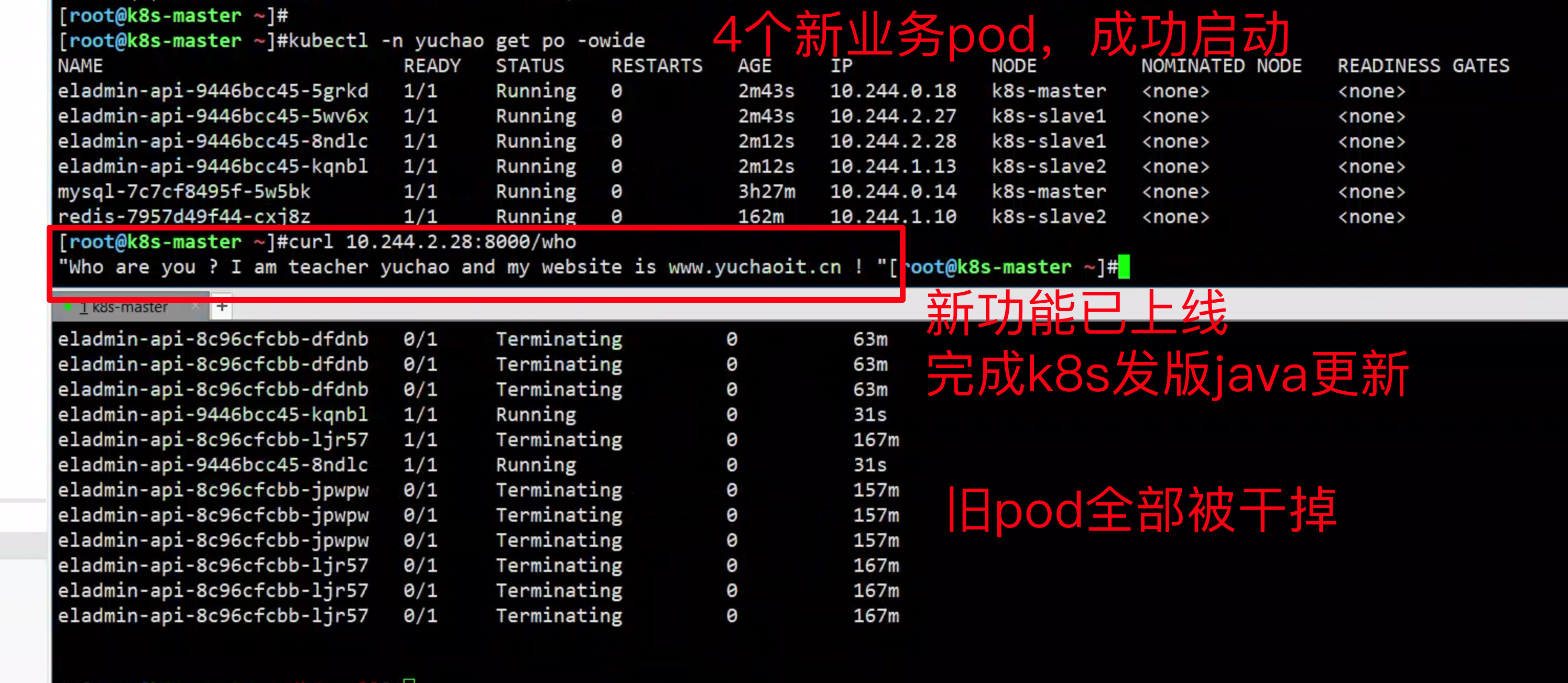 image-20230320195201925