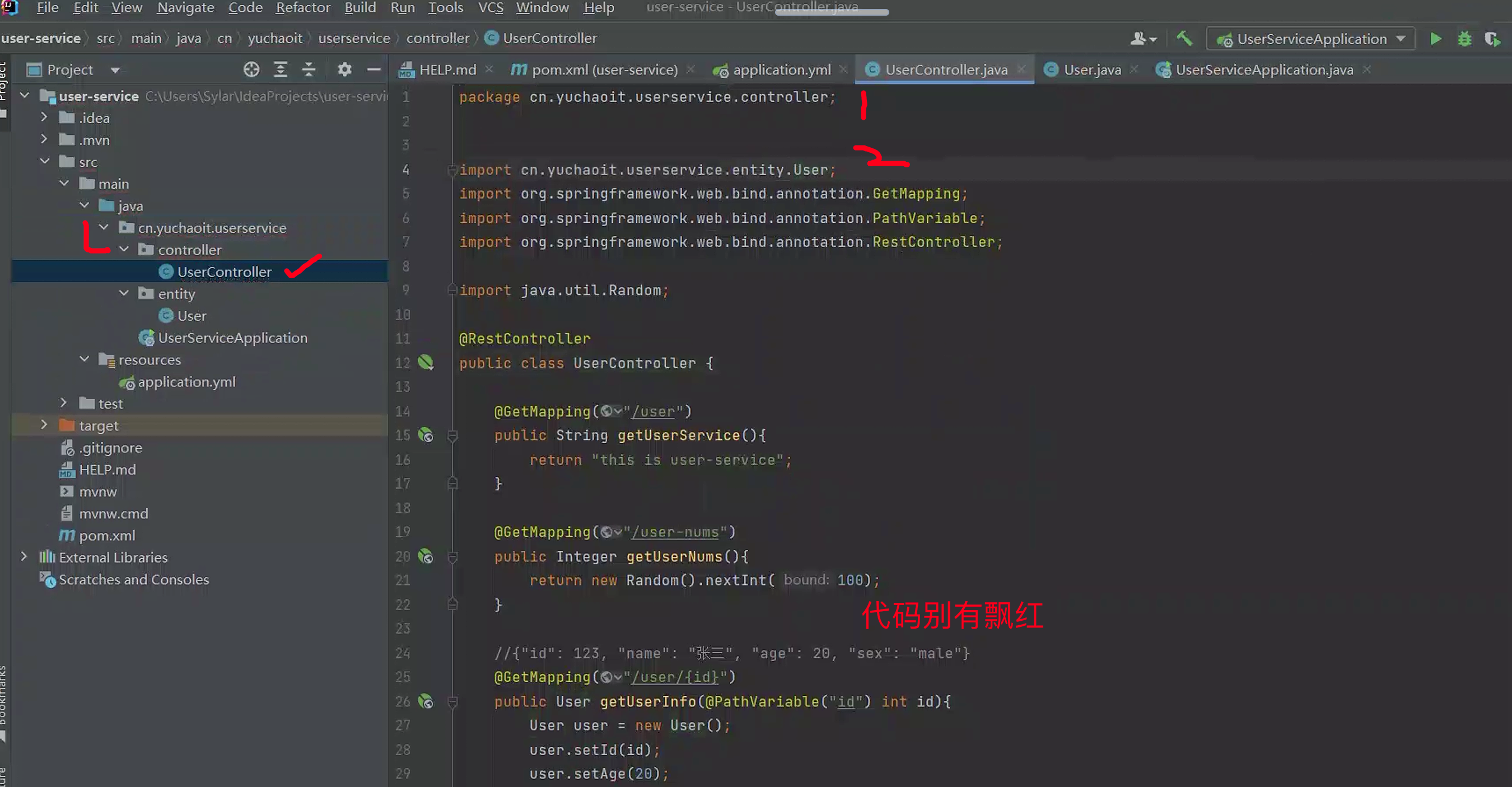 image-20230517142003900