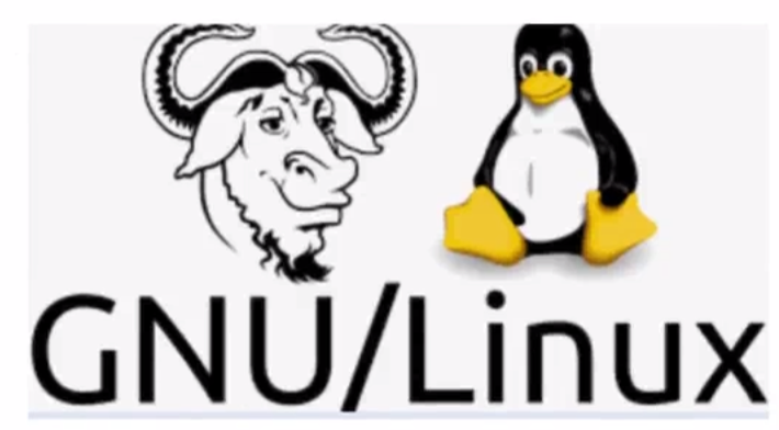 image-20250306115749078