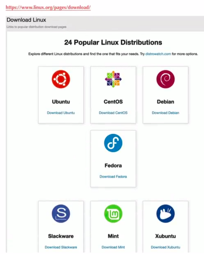 image-20250306120228788