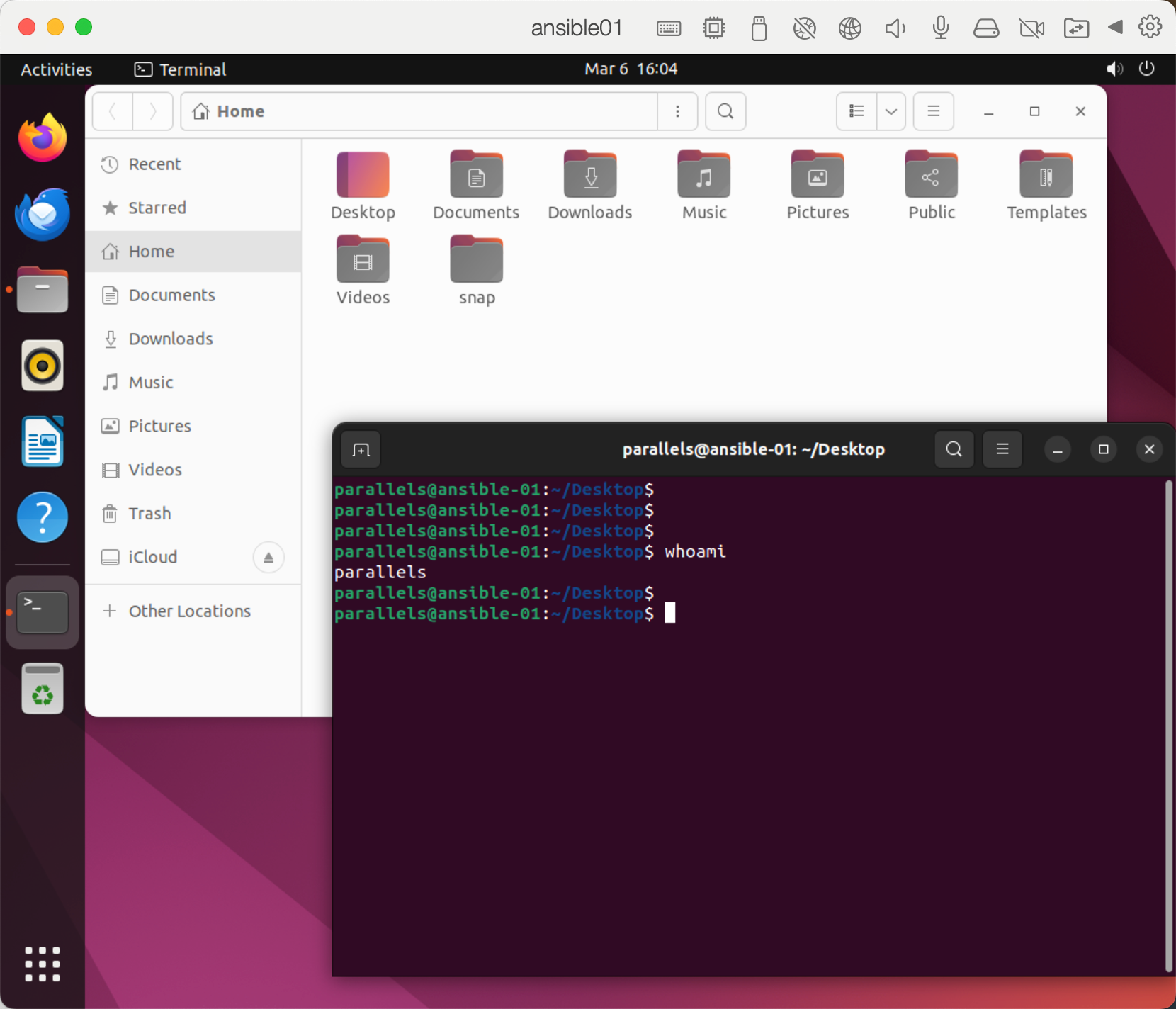 image-20250306160458142
