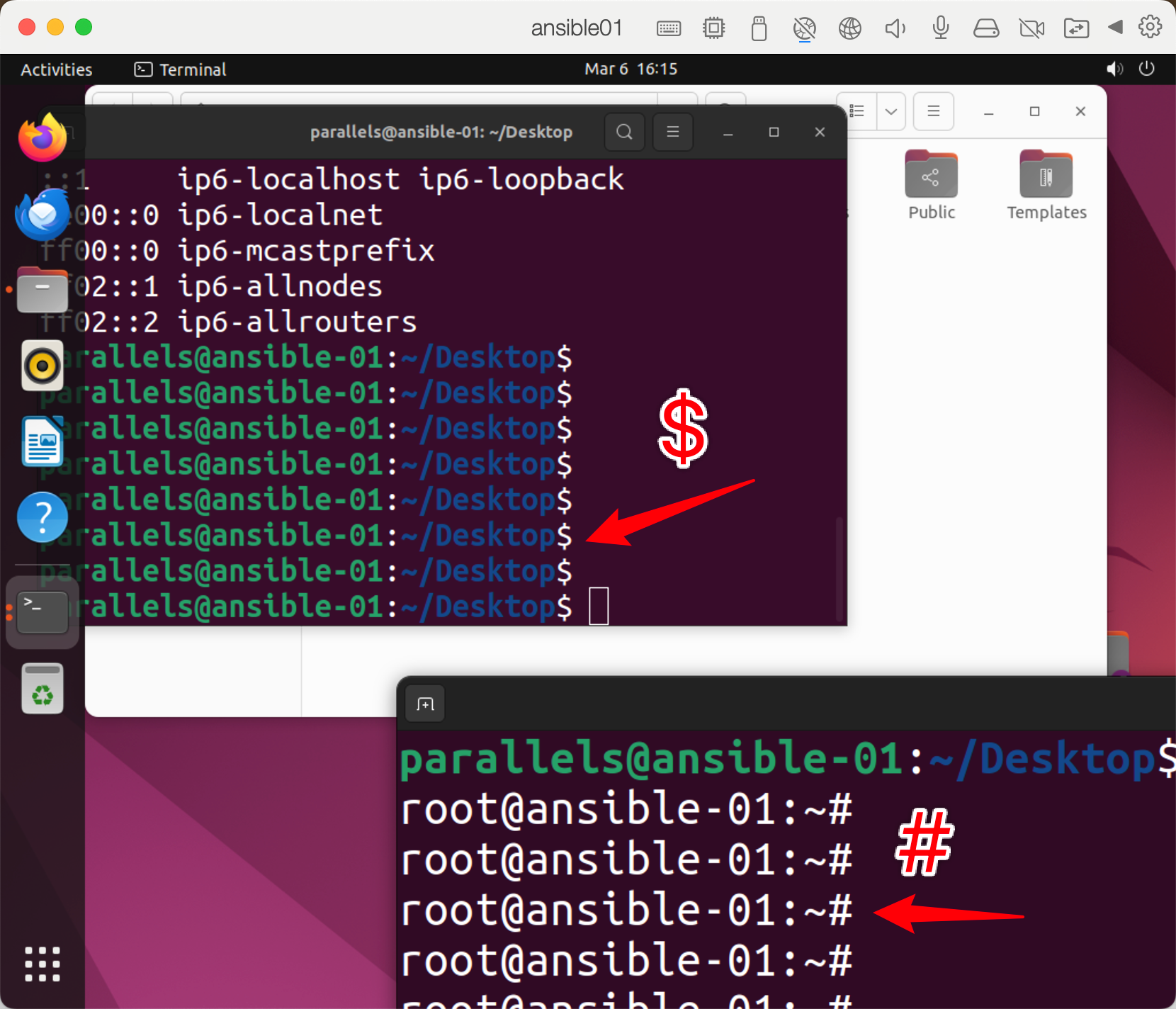image-20250306161549152