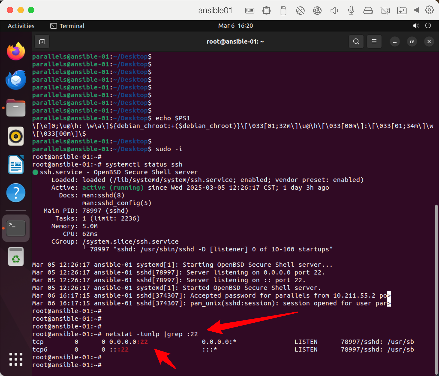 image-20250306162020087