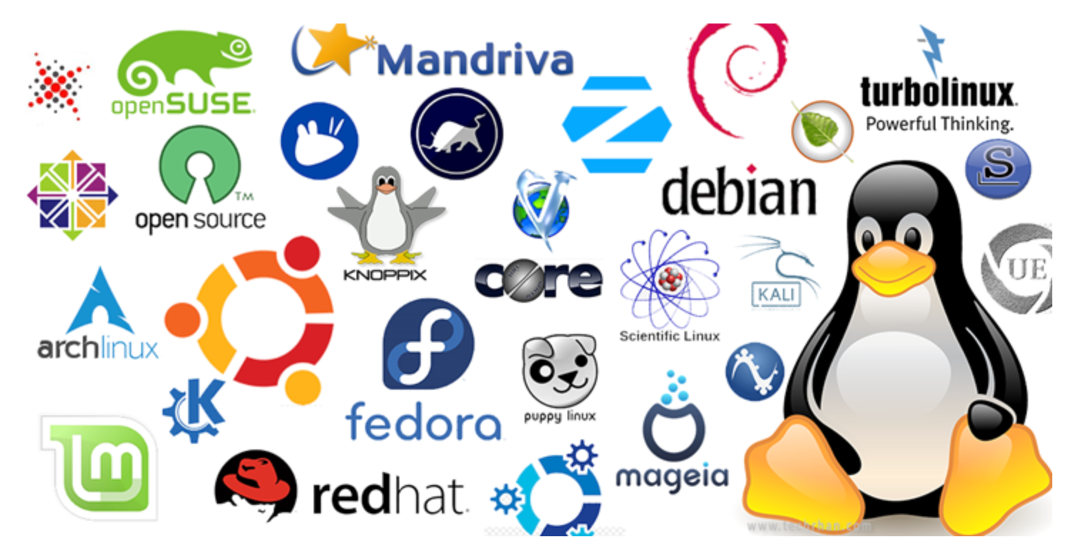 image-20250306120759167