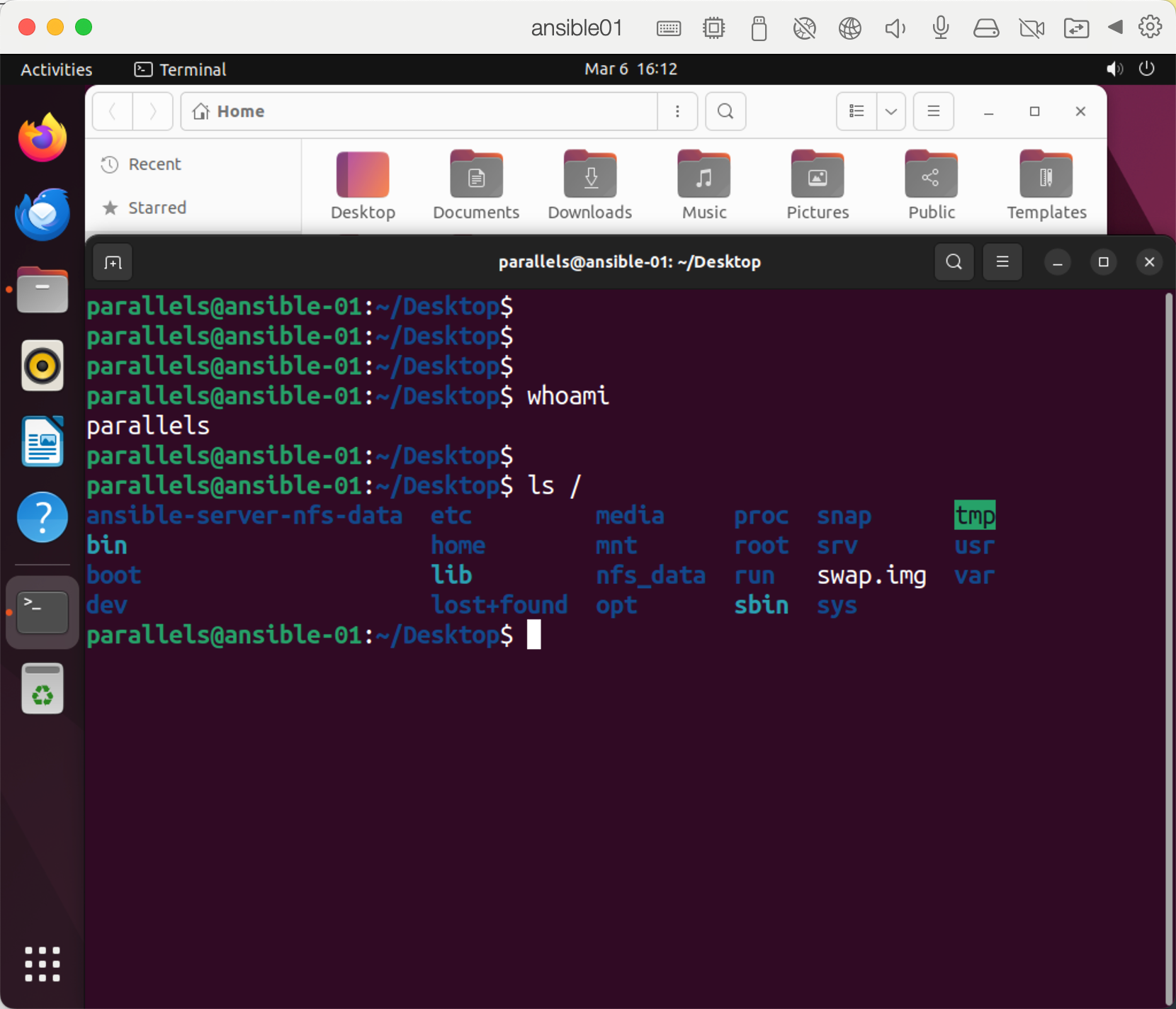 image-20250306161217813