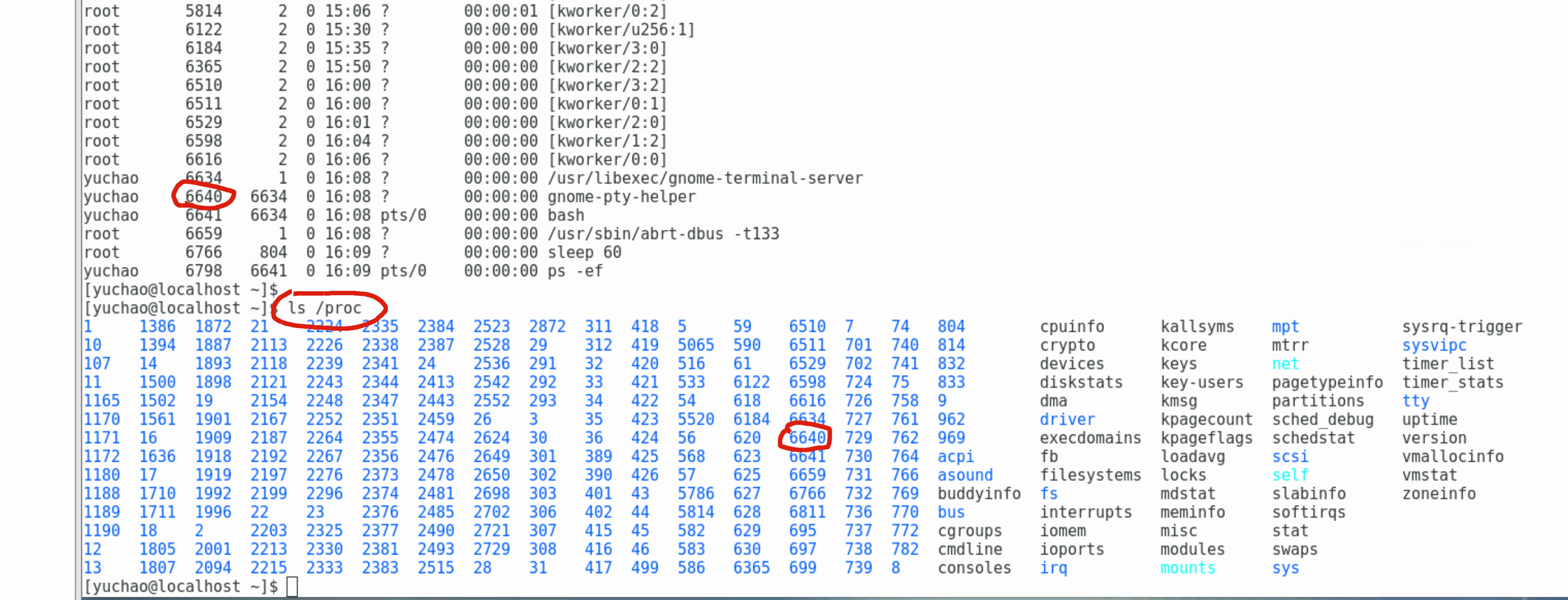 image-20220104161003471