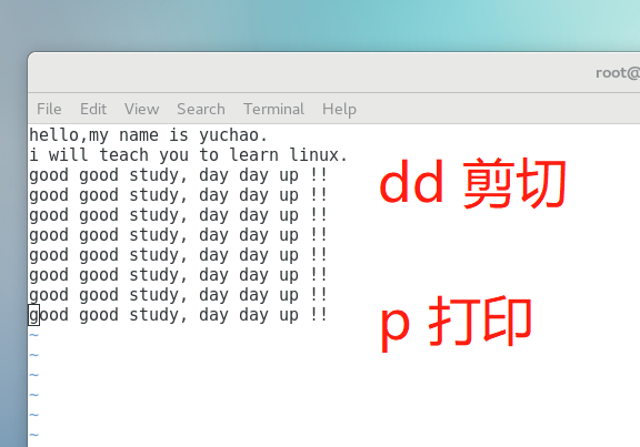 image-20220106165210225