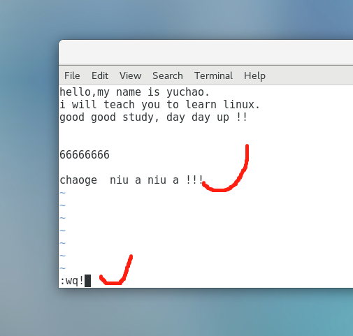 image-20220106171526013