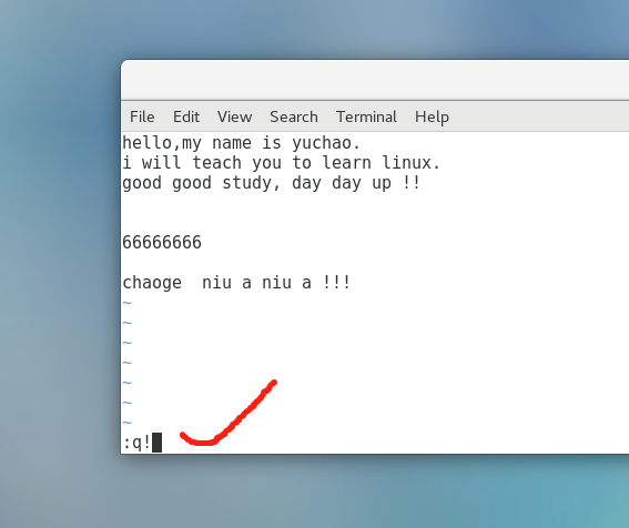 image-20220106171836886