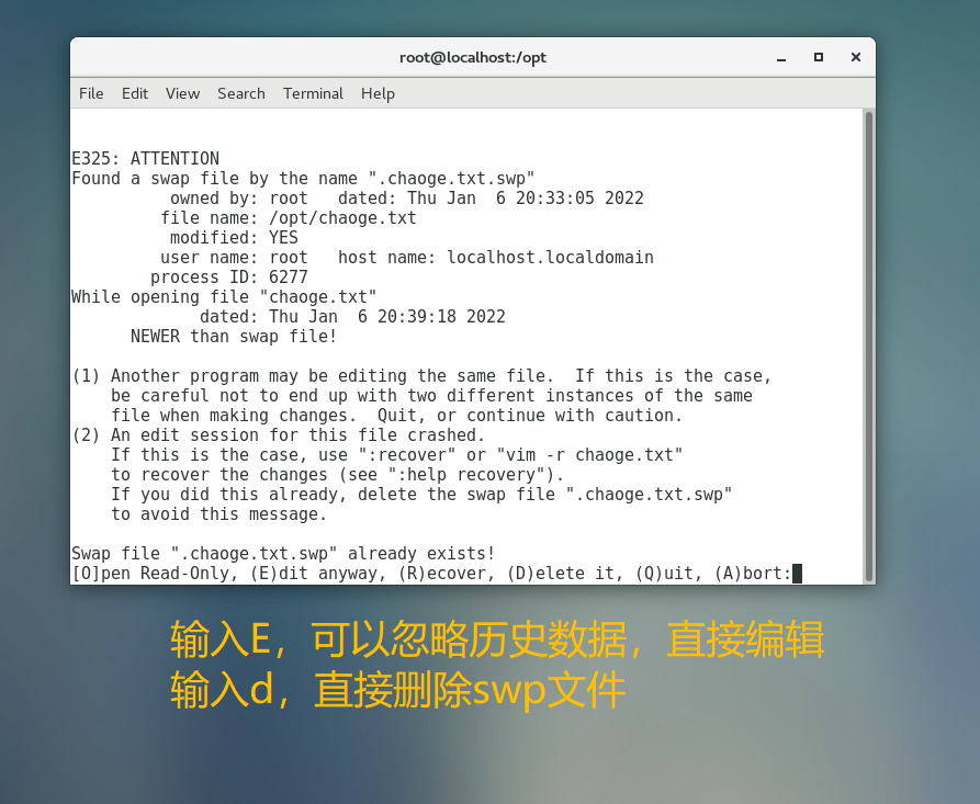 image-20220106204015798