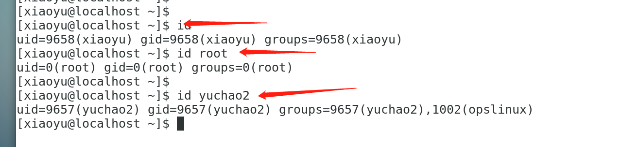 image-20220108105301338