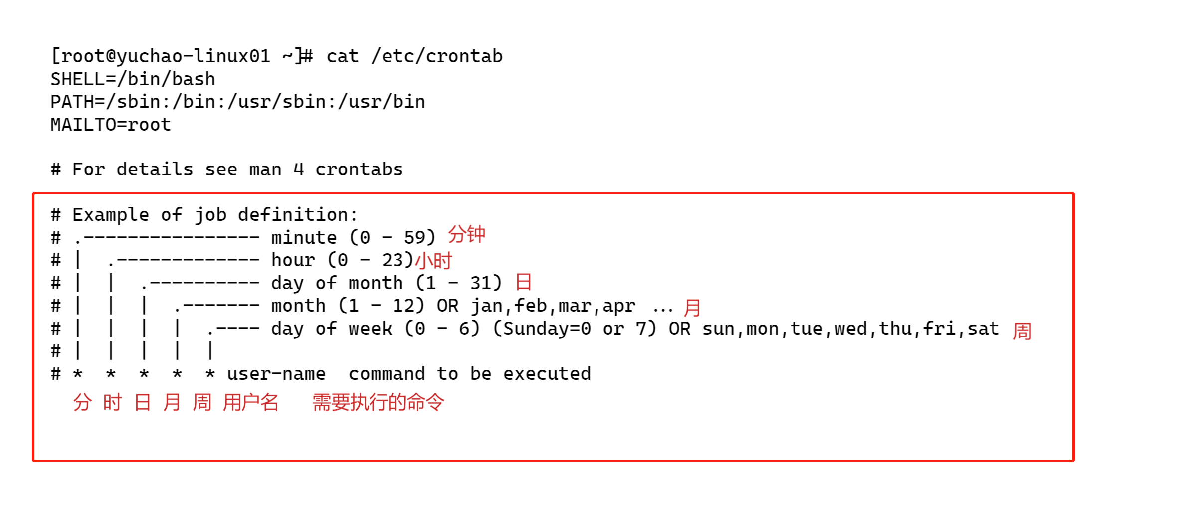 image-20220117094718162