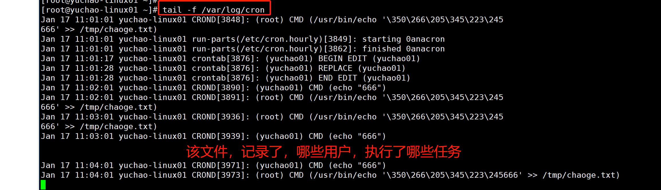 image-20220117110429169