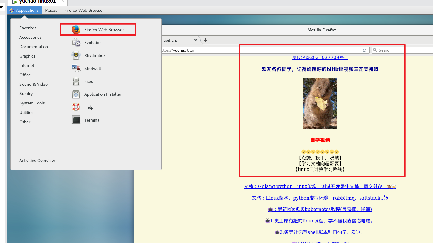 image-20220117143331865