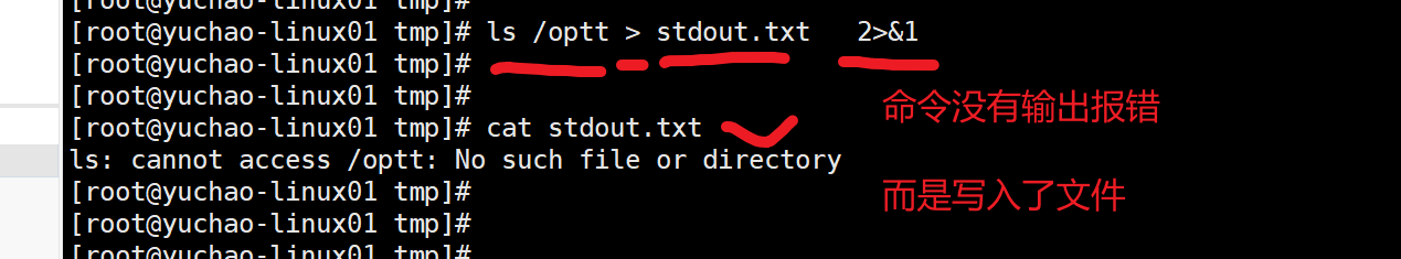image-20220118110704818