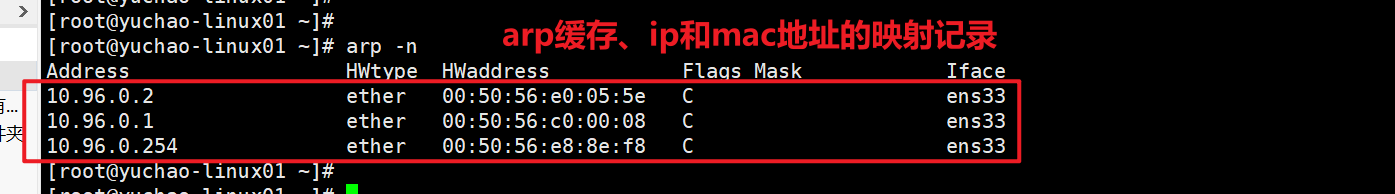 image-20220126100932775