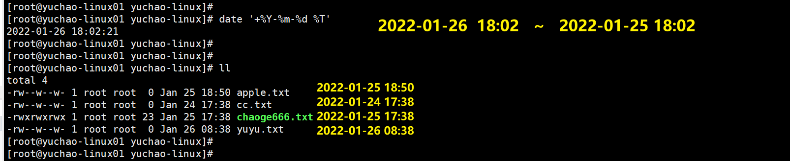 image-20220126180450245