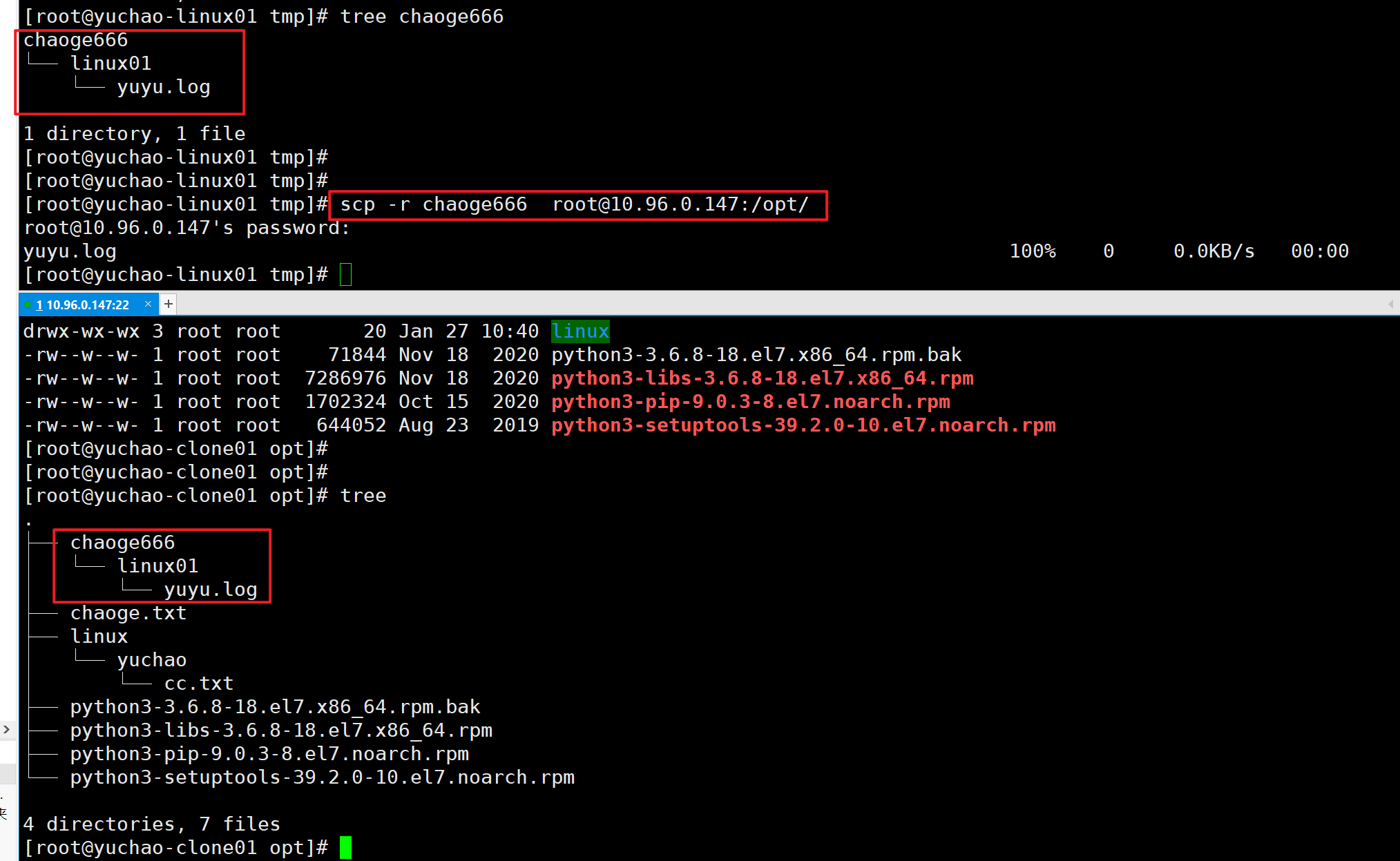 image-20220127104659514