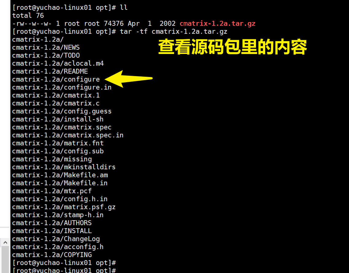 image-20220207111754287