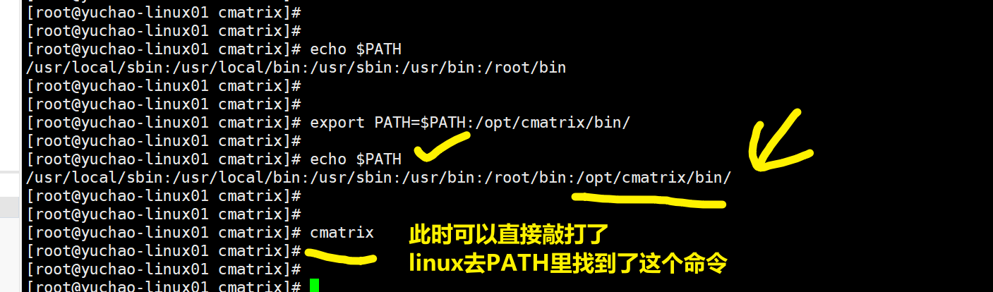 image-20220207113909789