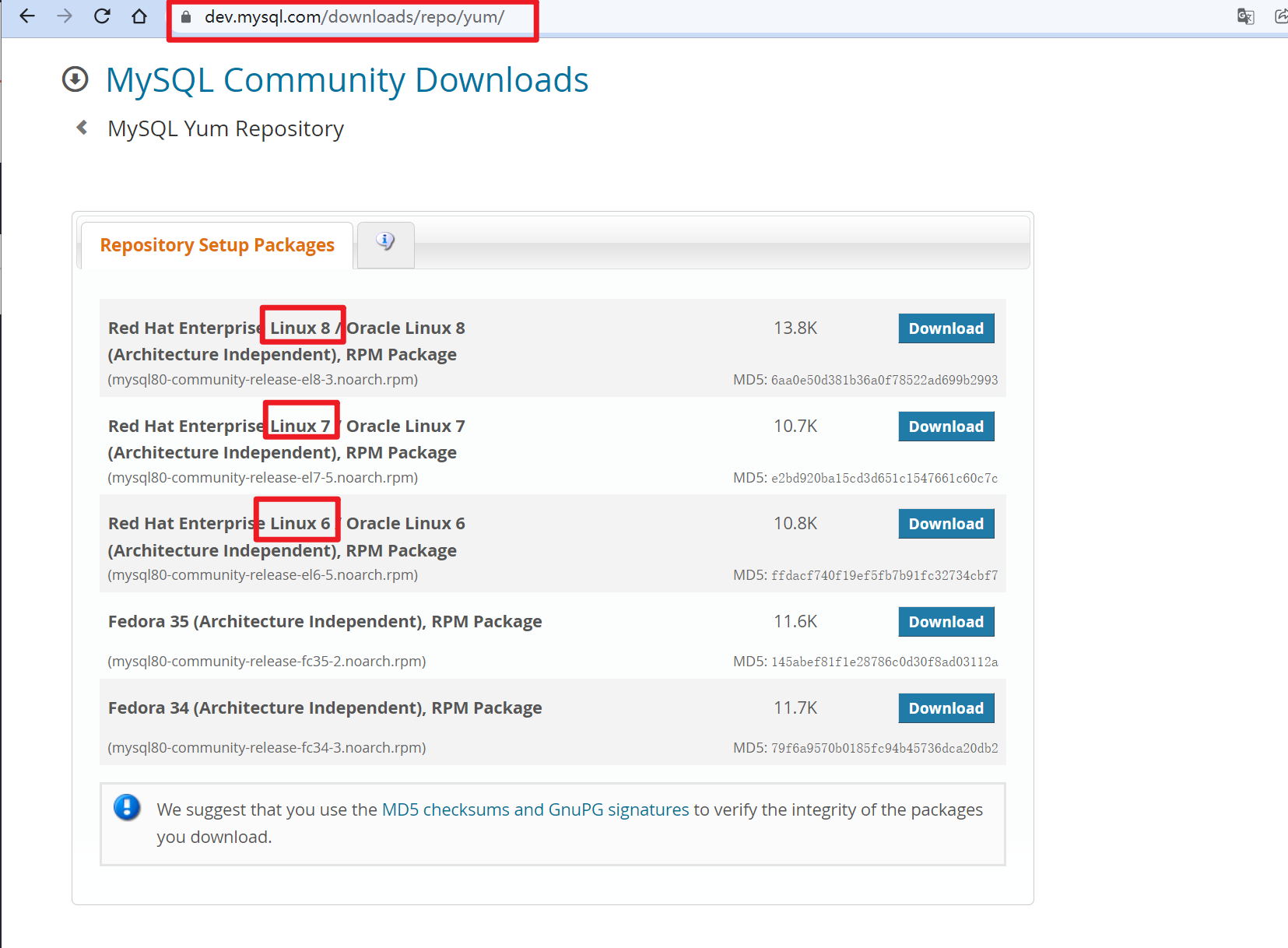 image-20220207154643924