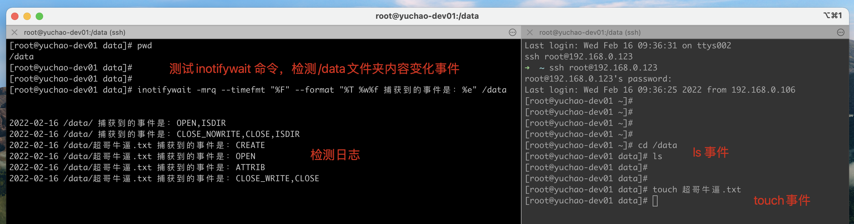 image-20220216135050901