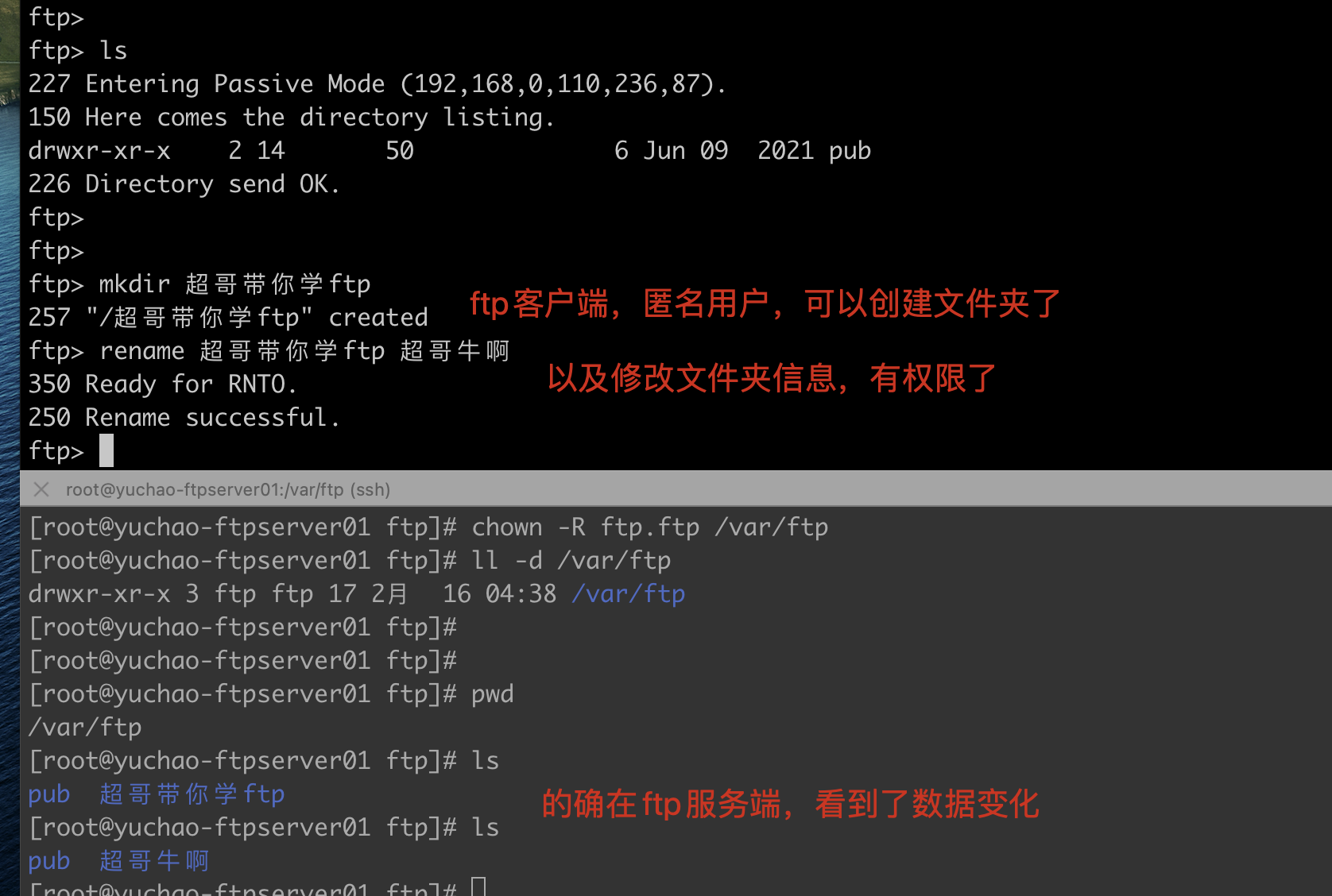 image-20220217152021275