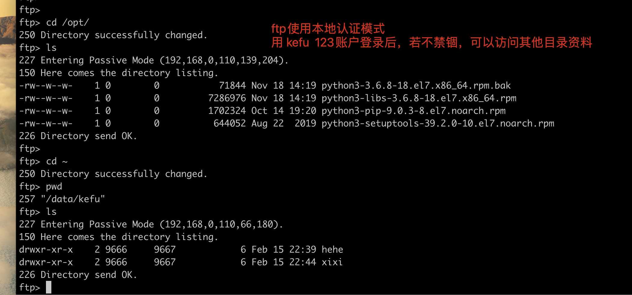 image-20220217165020974