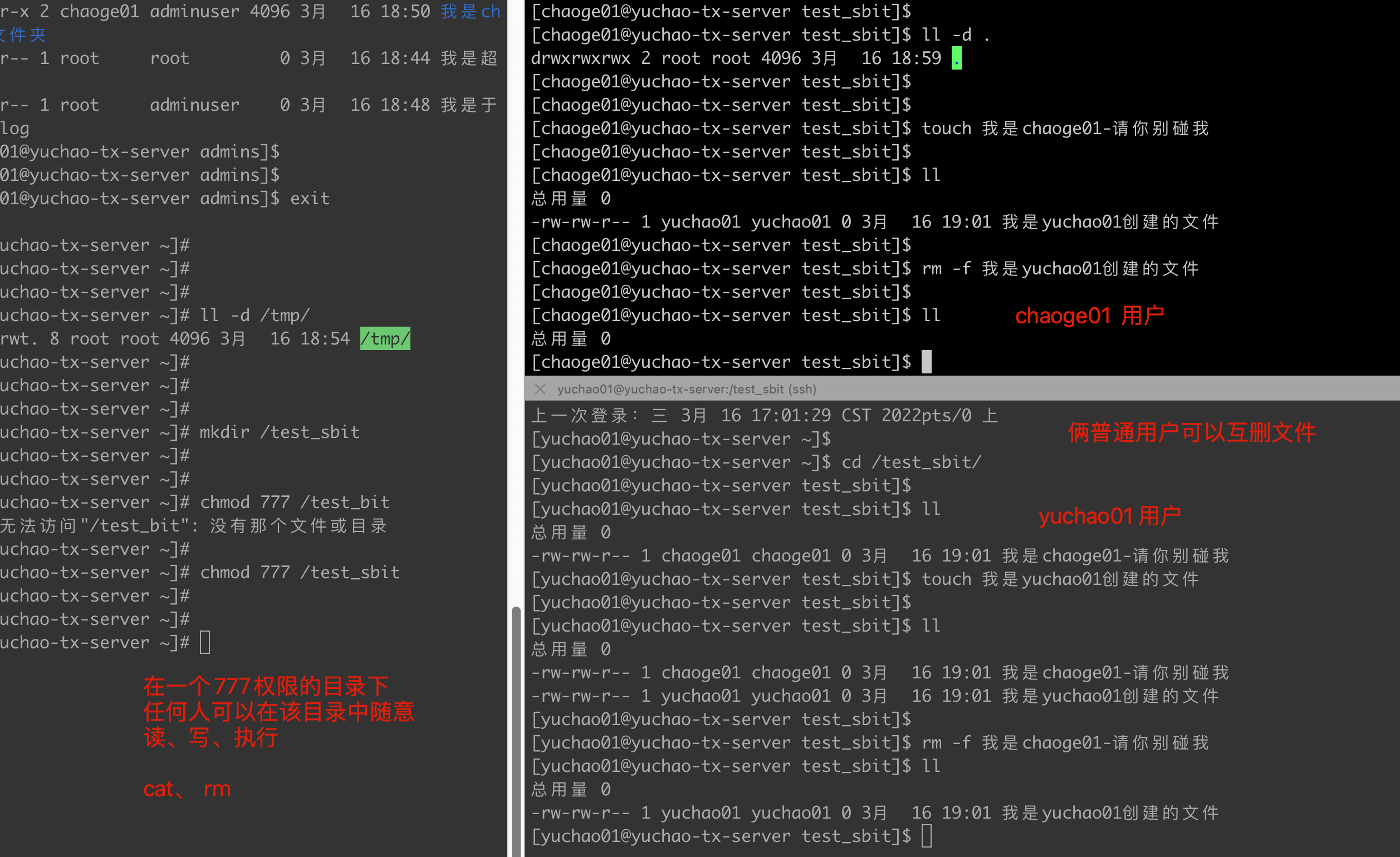 image-20220316190436856