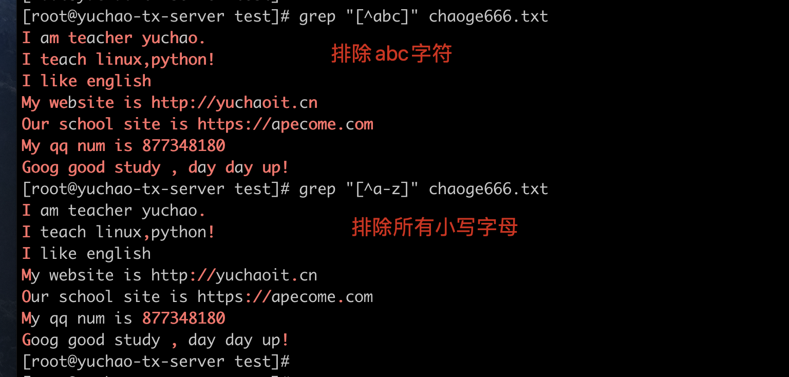 image-20220404200623766