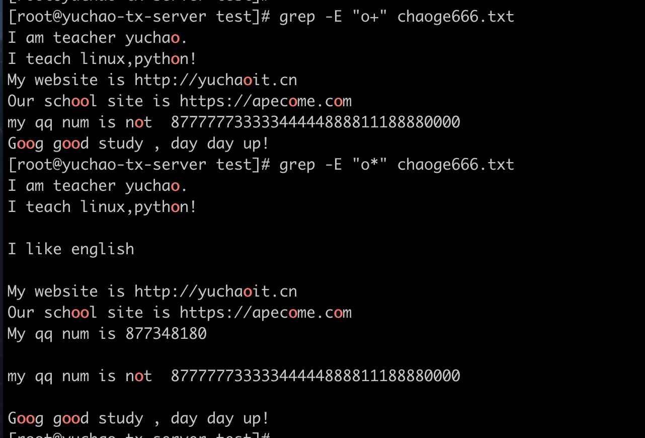 image-20220405125647057