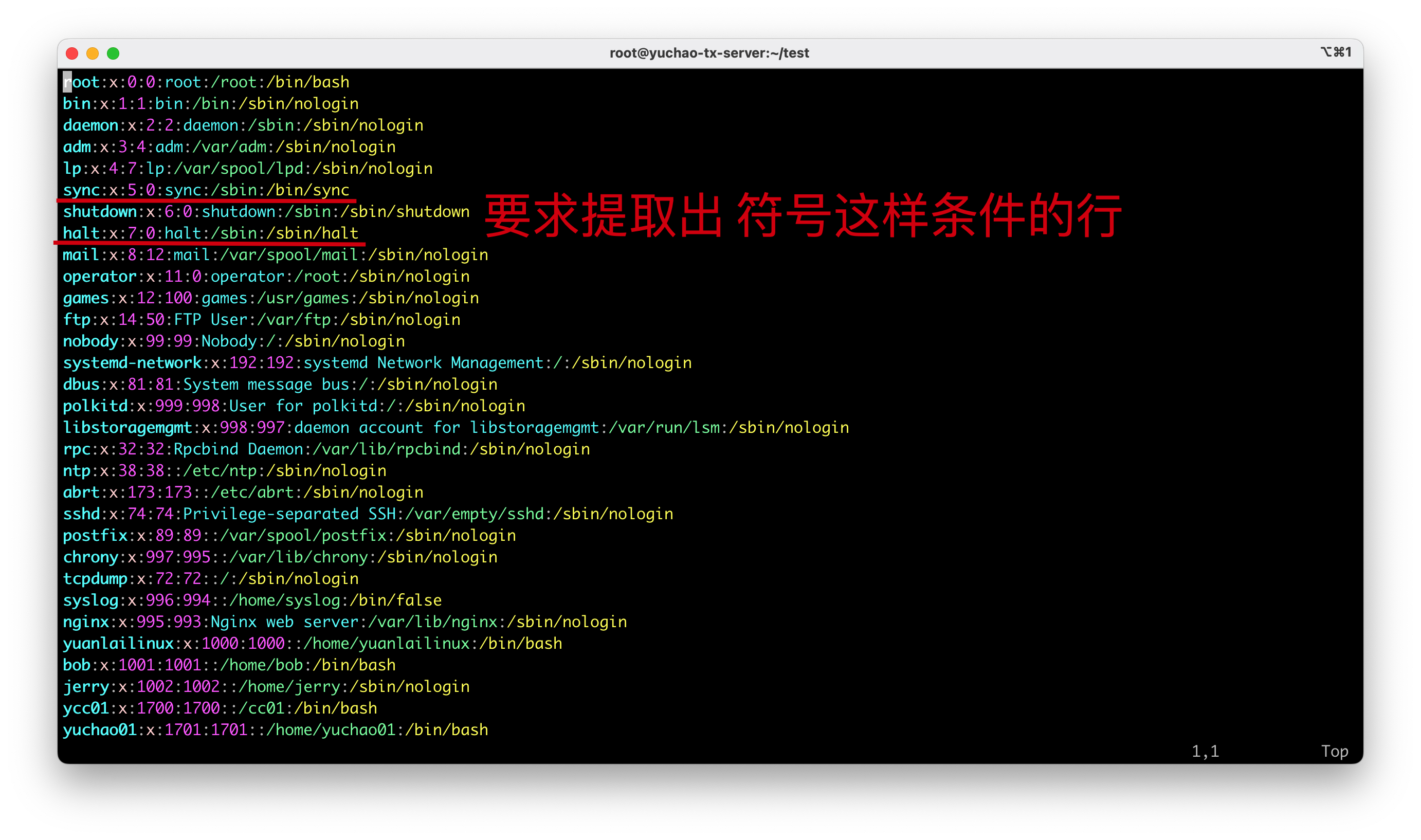 image-20220405175835135