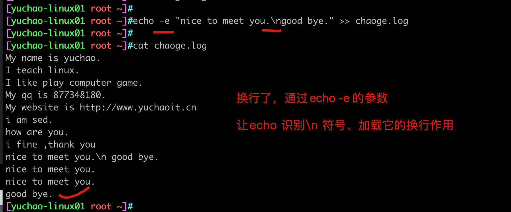 image-20220408162754641