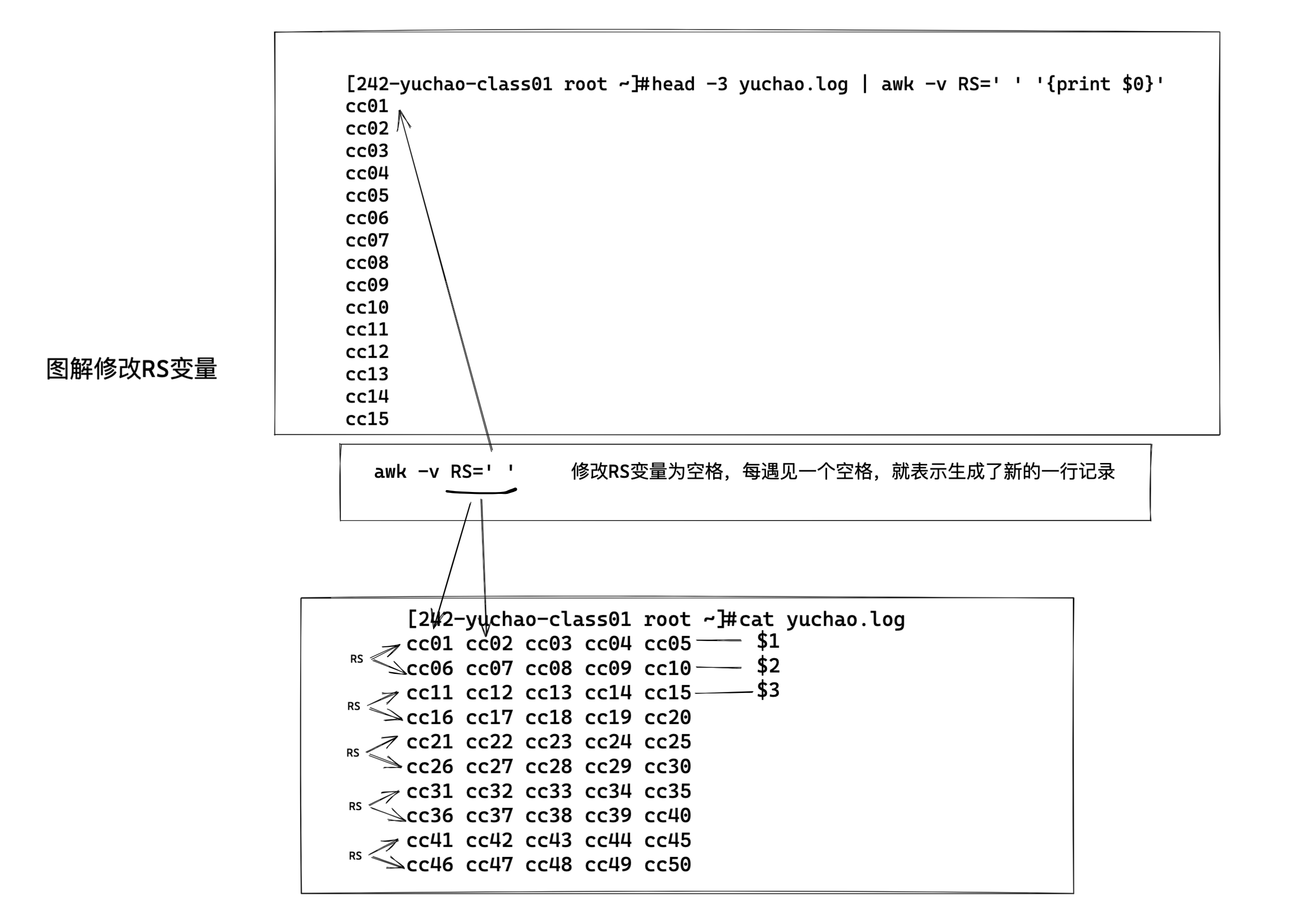 image-20220411193816731