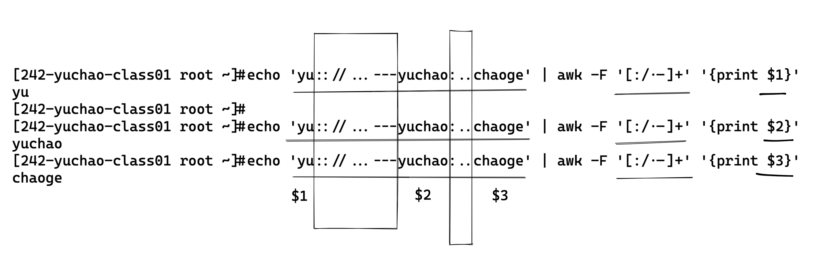 image-20220413172355748