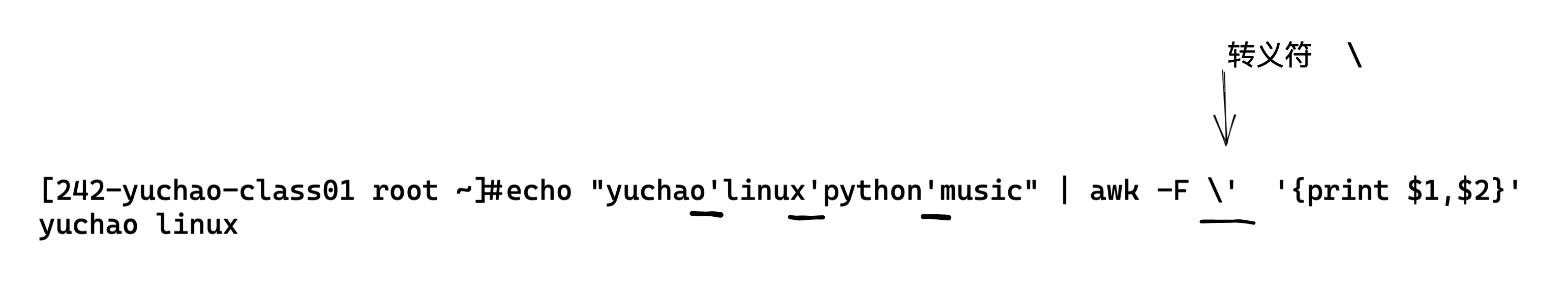 image-20220413173648604