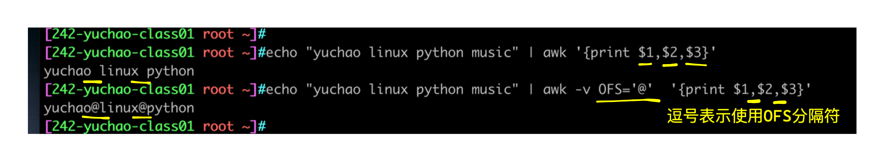 image-20220413175855478