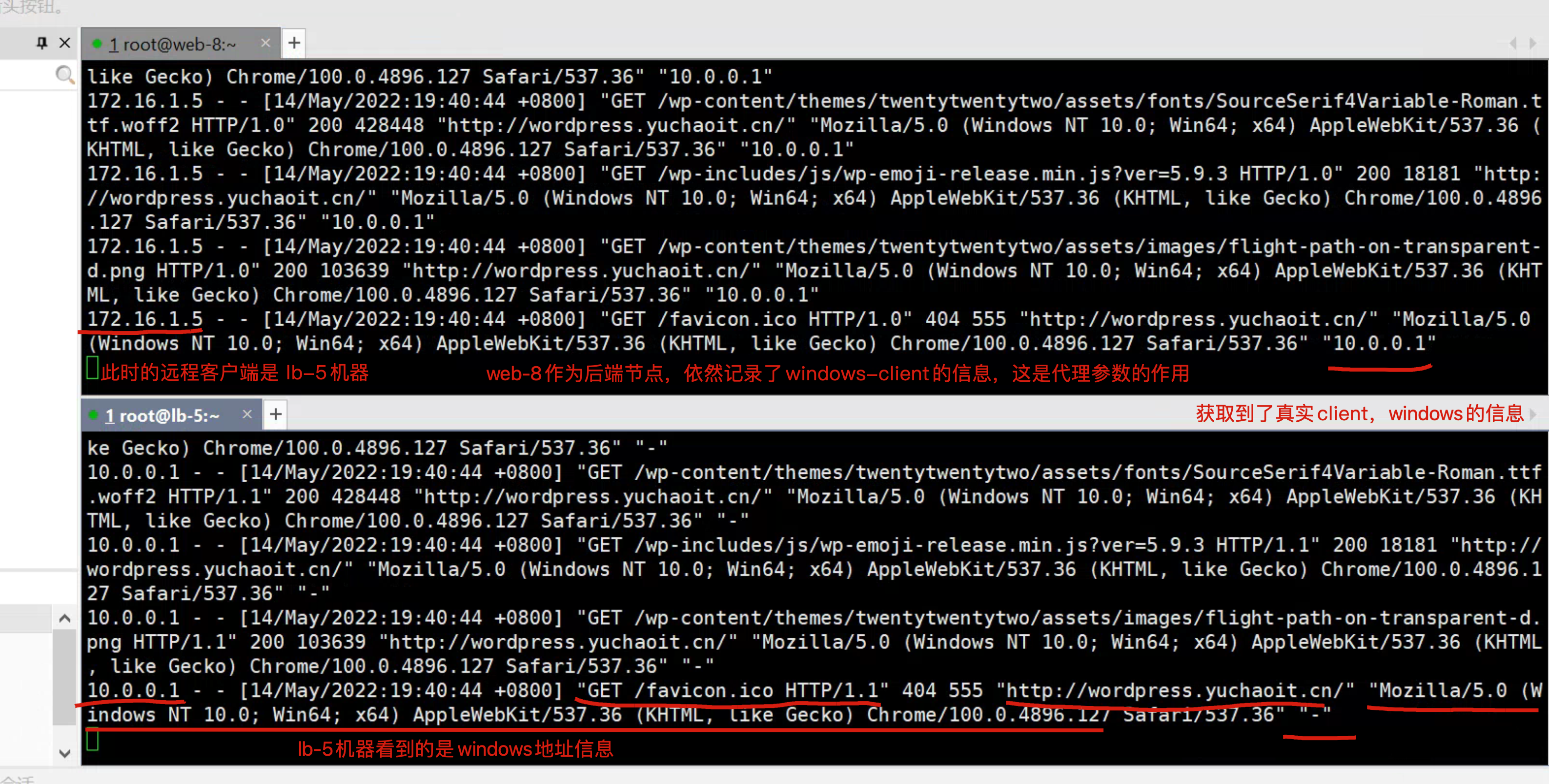 image-20220514194416282