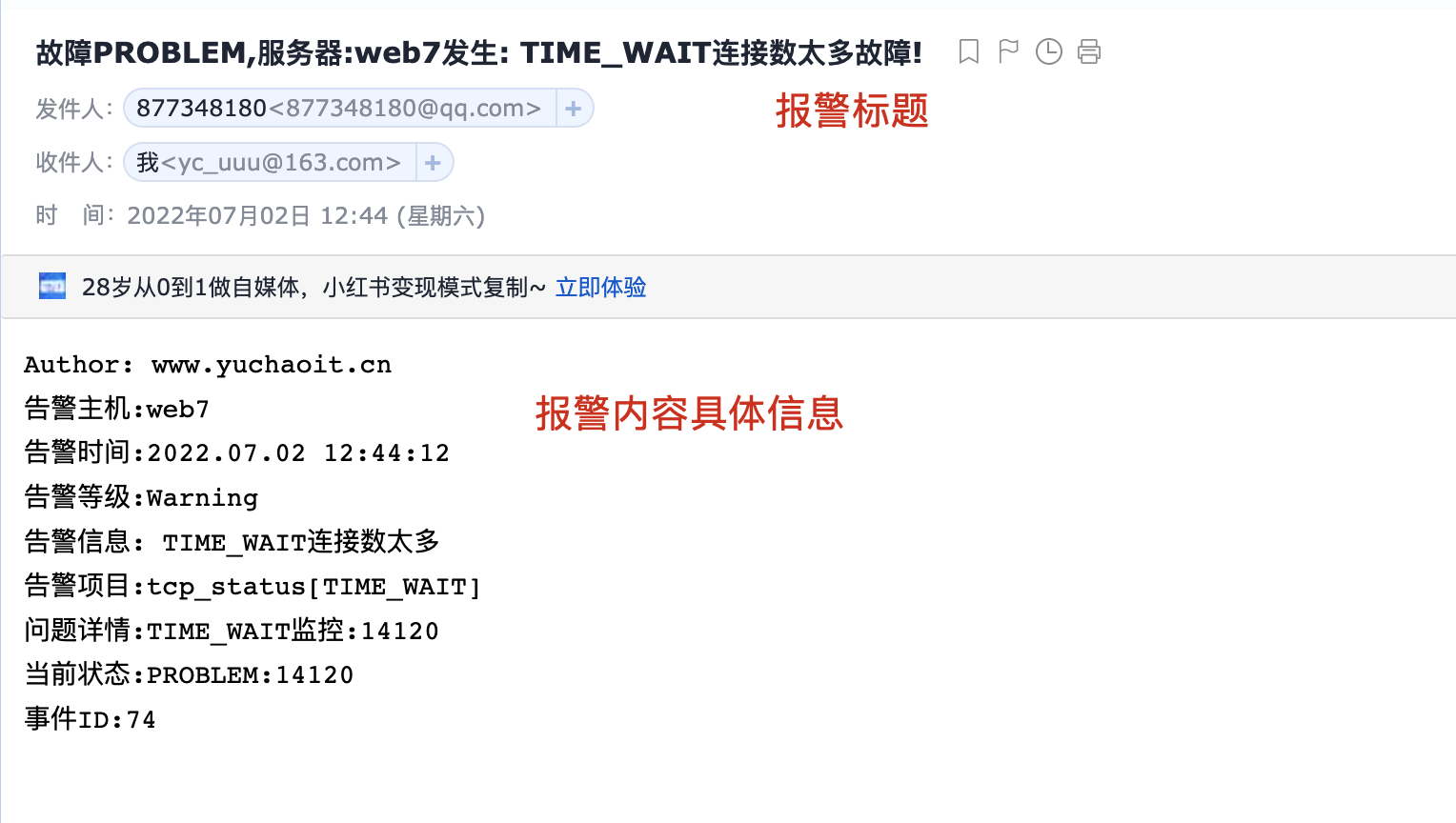 image-20220702124546814