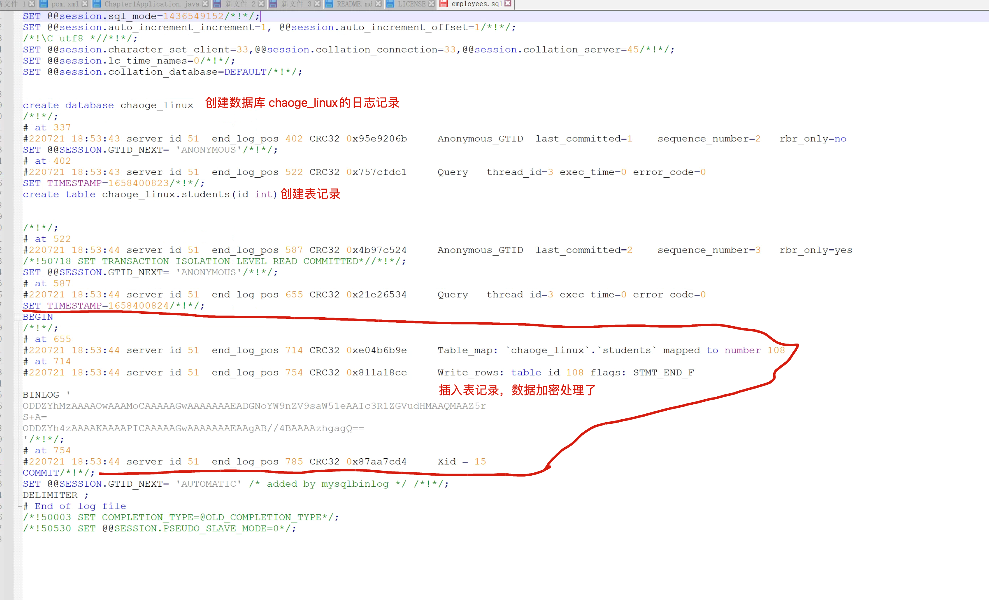 image-20220721191347919