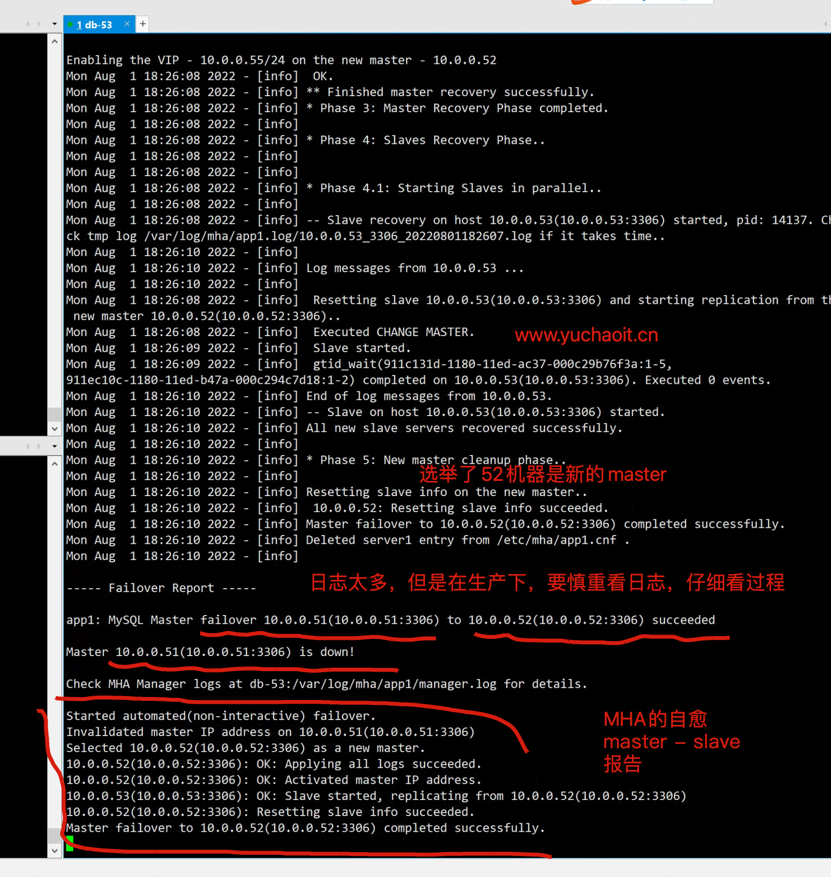 image-20220801183150302