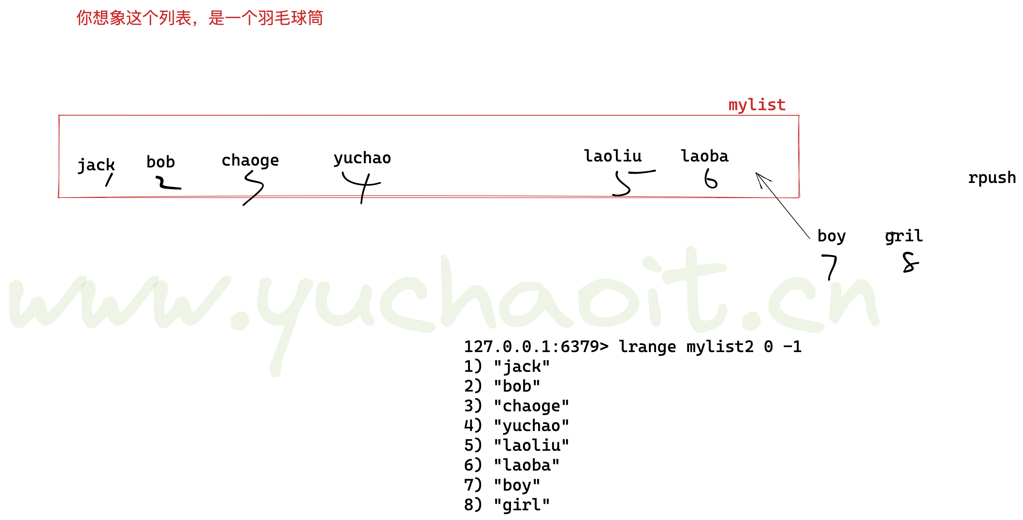 image-20220805163753322