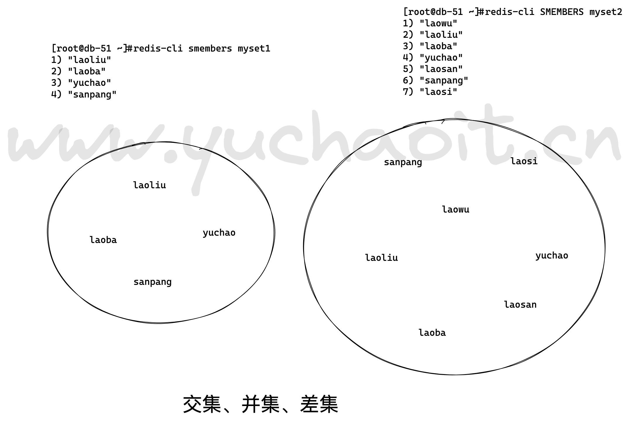 image-20220805173021542