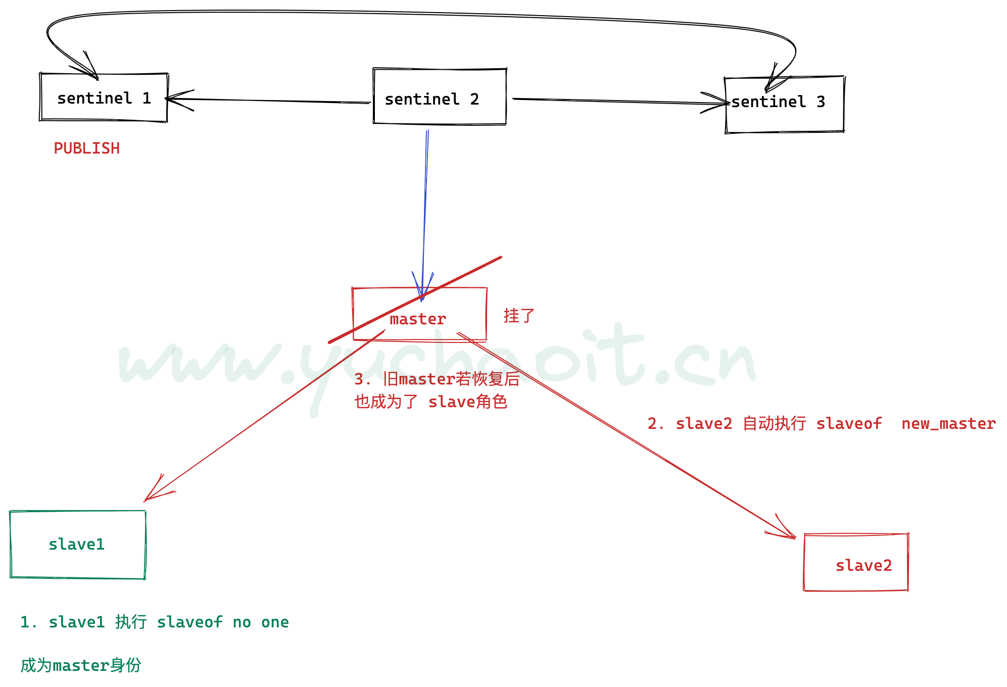 image-20220810191855323