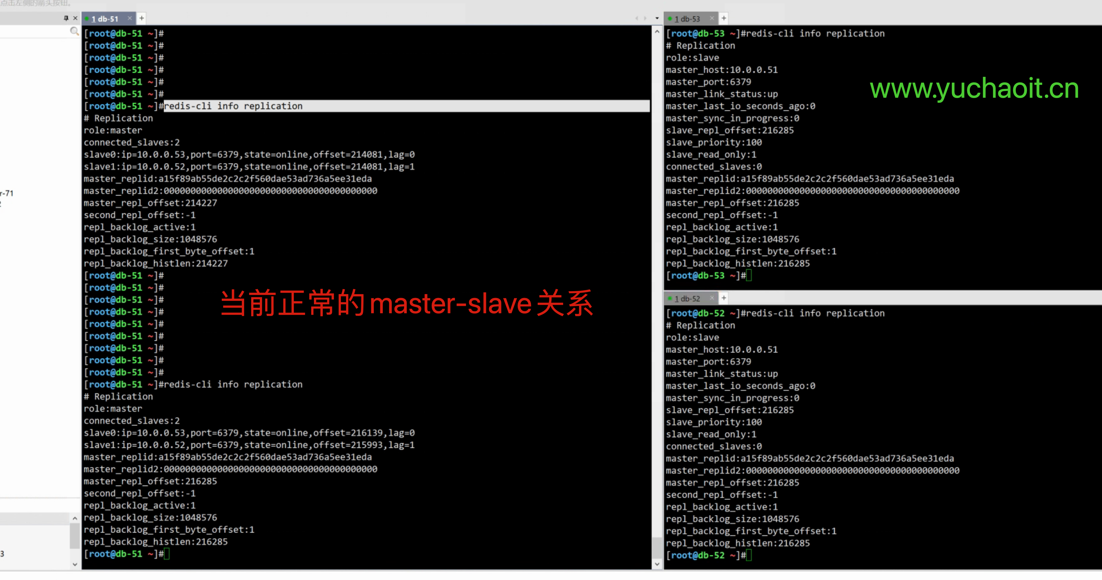 image-20220810201819388