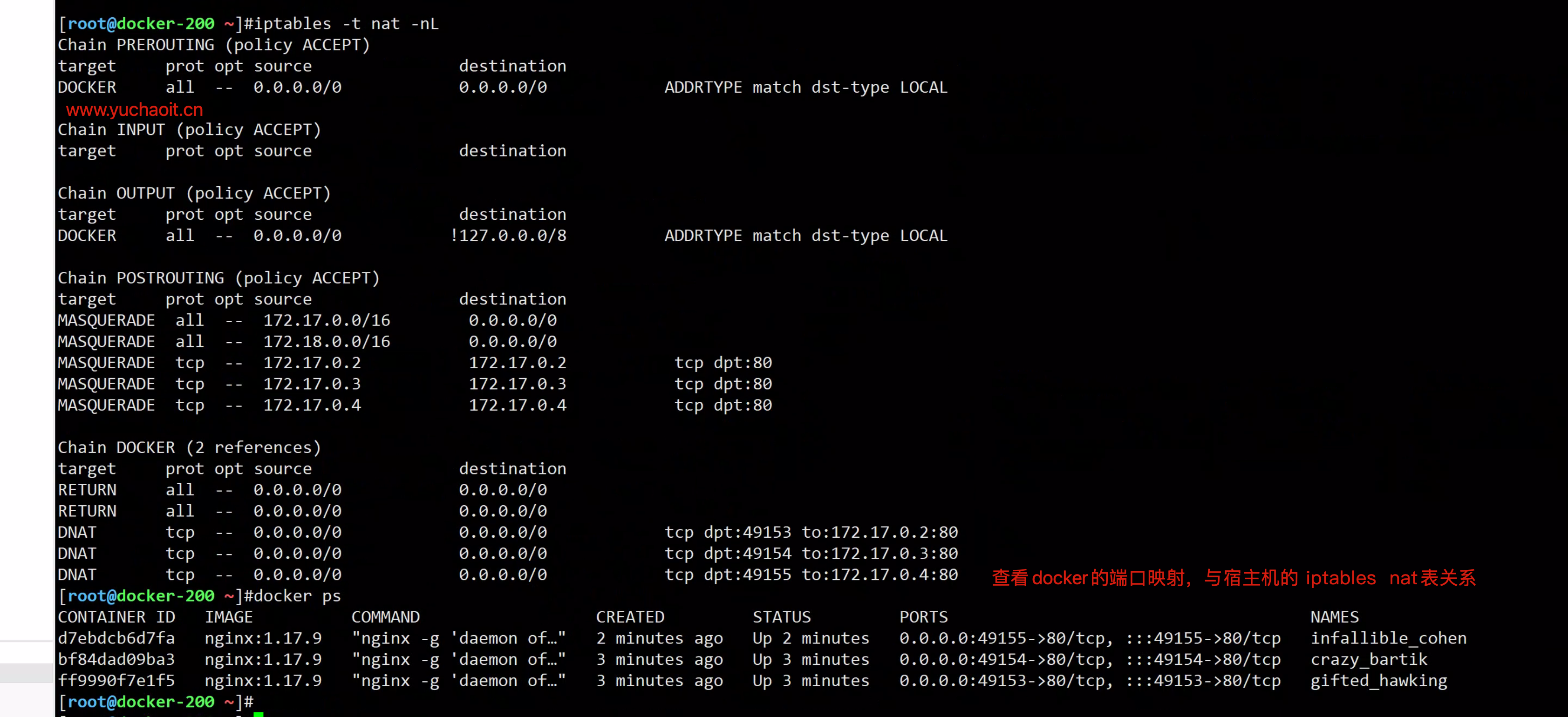 image-20220827141653106