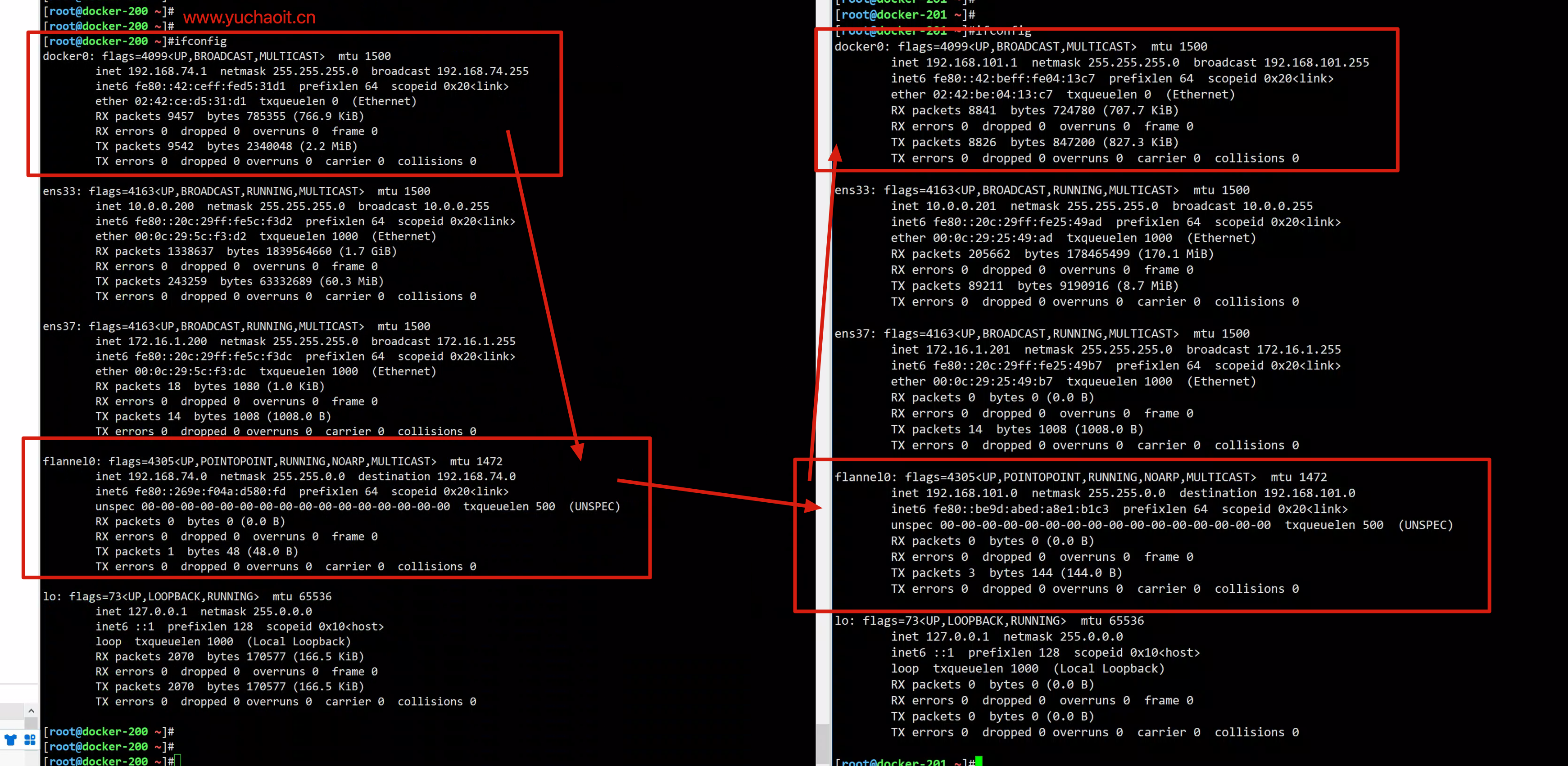 image-20220829162815197