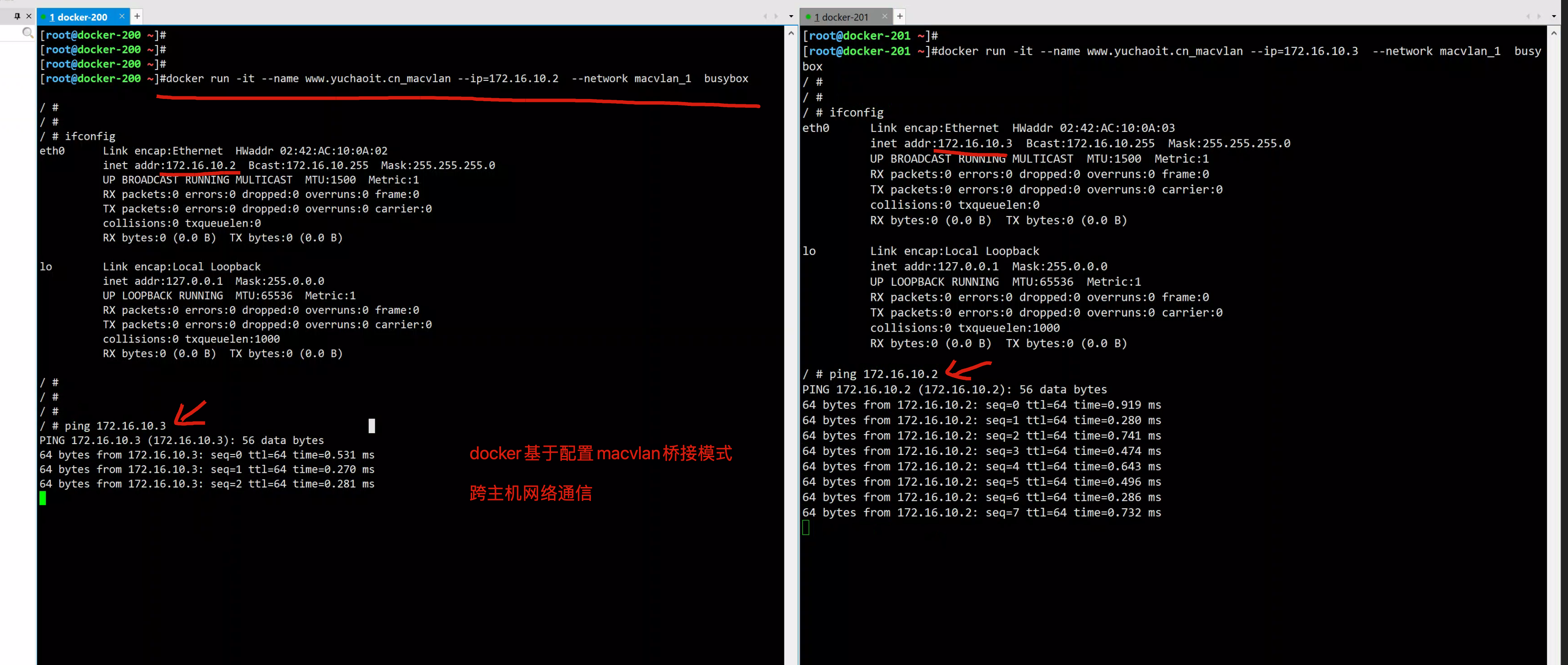 image-20220829171346419