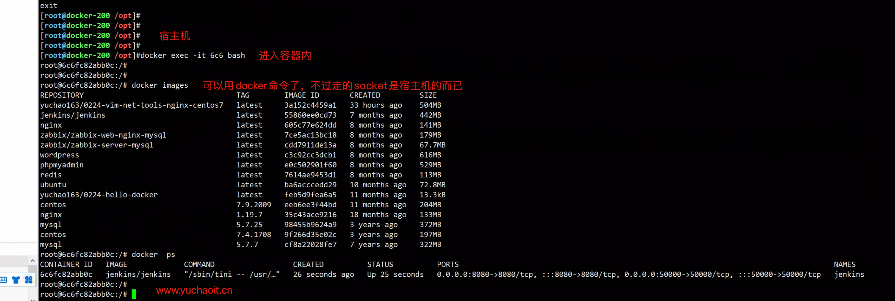 image-20220831175646408